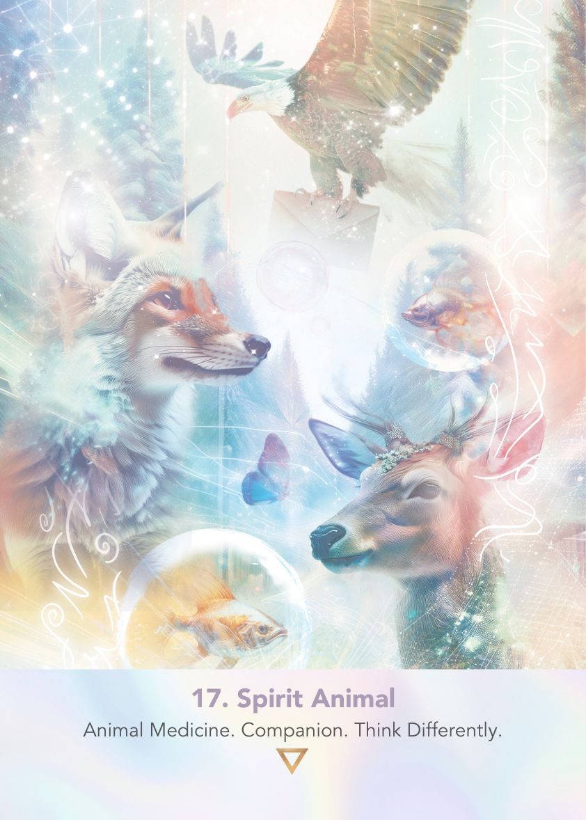 LightWeb® Oracle Deck