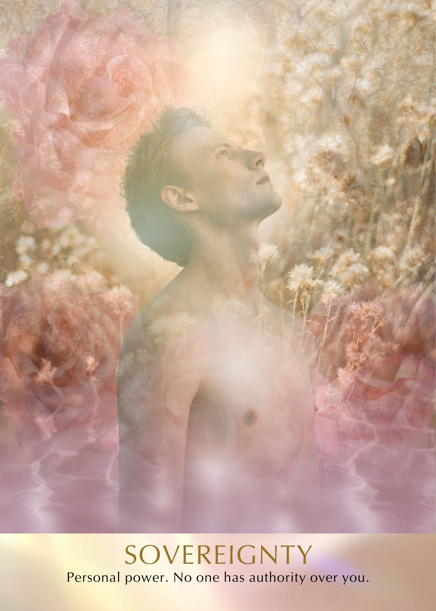 Seeds of Light Oracle Deck