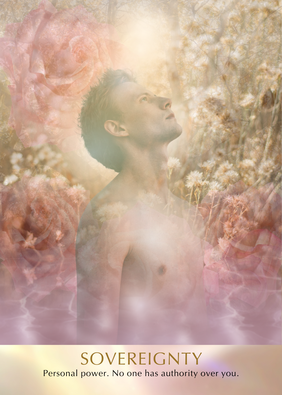 Seeds of Light Oracle Deck